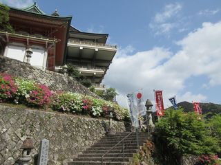 IMG_1458.jpg