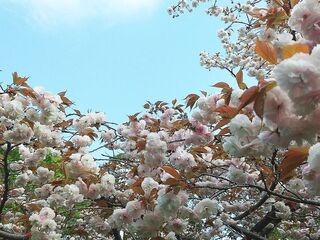 IMG_150536.jpg