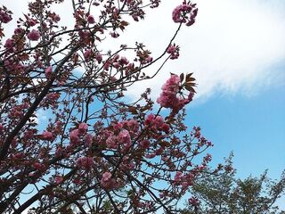 IMG_150627.jpg