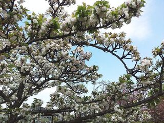 IMG_150716.jpg