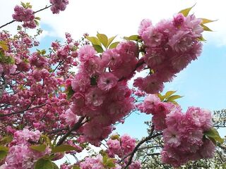 IMG_150836.jpg