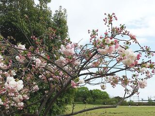 IMG_151409.jpg