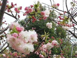 IMG_151447.jpg