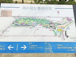 IMG_151515.jpg