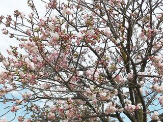 IMG_151558.jpg