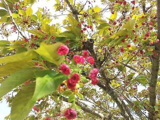 IMG_151647.jpg