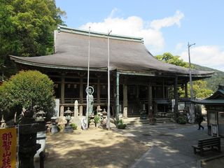 IMG_1517.jpg