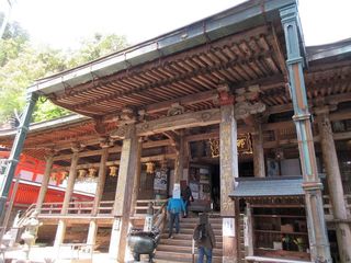 IMG_1519.jpg