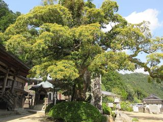 IMG_1523.jpg