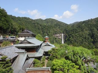 IMG_1526.jpg
