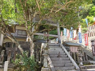 IMG_1528.jpg