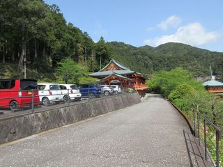 IMG_1532.jpg