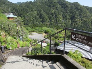 IMG_1537.jpg