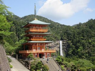 IMG_1540.jpg