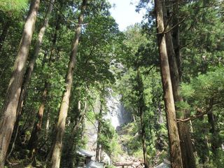 IMG_1564.jpg