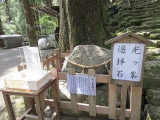 IMG_1571.jpg