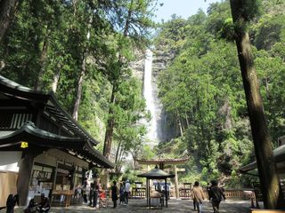 IMG_1572.jpg