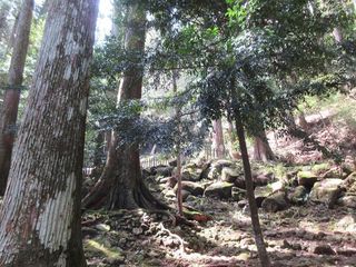 IMG_1580.jpg