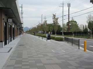 IMG_1600.jpg