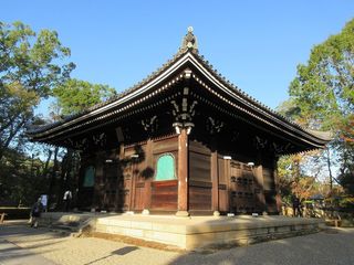 IMG_1701.jpg
