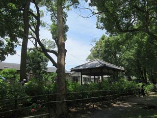 IMG_1857.jpg