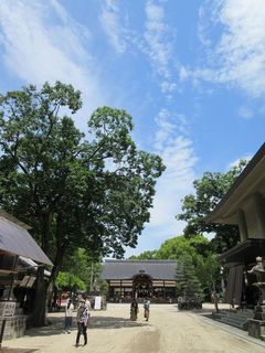 IMG_1860.jpg