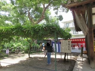 IMG_1862.jpg