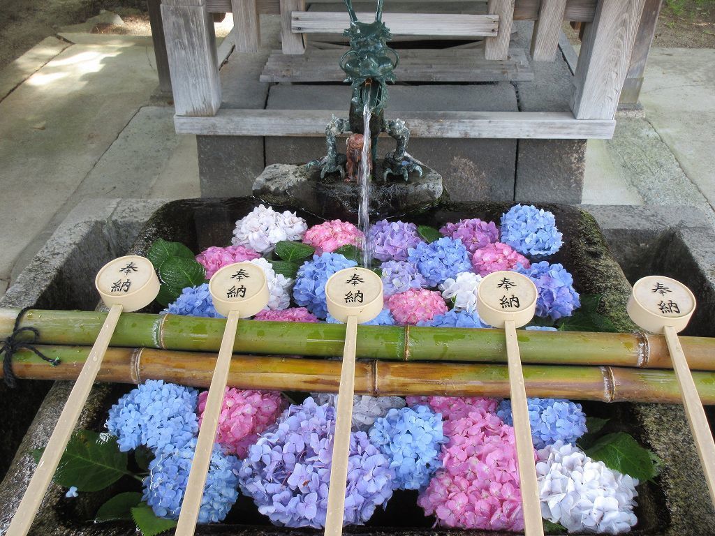 藤森神社 京都市伏見区 可憐な紫陽花の花手水 ウィローの湯煙 食べ物日記