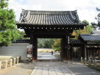 IMG_1904.jpg