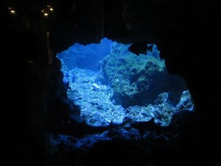 IMG_1911.jpg