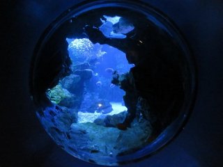 IMG_1913.jpg
