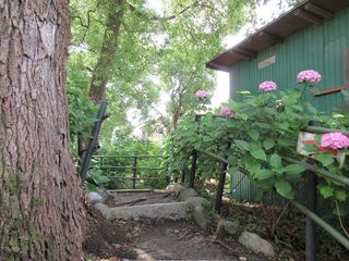 IMG_1916.jpg