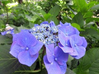 IMG_1921.jpg