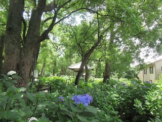 IMG_1923.jpg