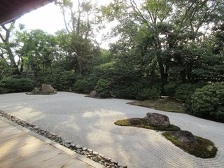 IMG_1937.jpg