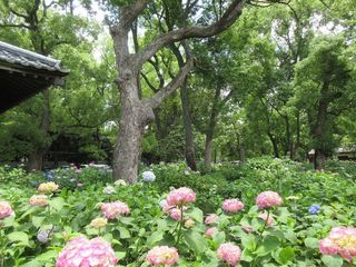 IMG_1940.jpg