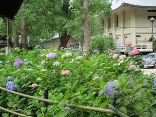IMG_1958.jpg