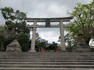 IMG_2118.jpg