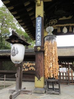 IMG_2129.jpg