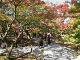 IMG_2191.jpg