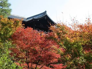 IMG_2208.jpg