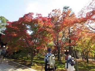 IMG_2213.jpg