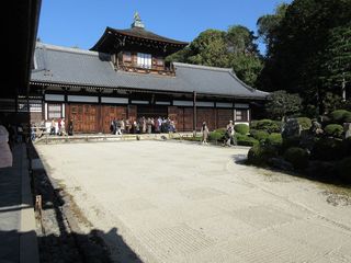 IMG_2217.jpg