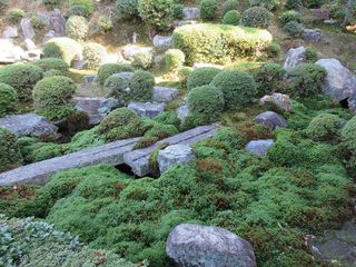 IMG_2223.jpg