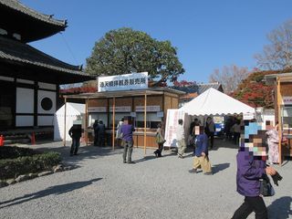 IMG_2226.jpg