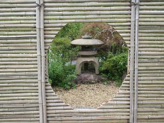 IMG_2330.jpg
