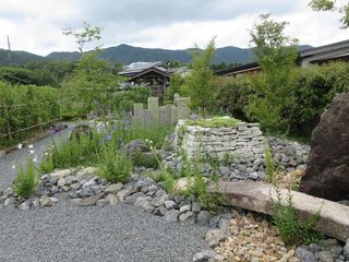 IMG_2337.jpg