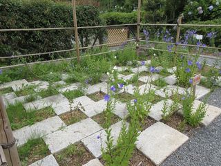 IMG_2338.jpg