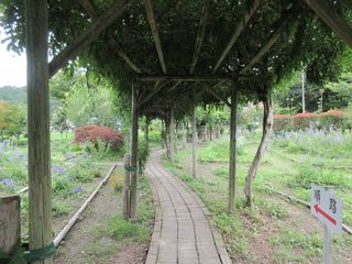 IMG_2358.jpg