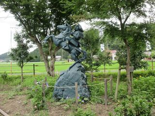 IMG_2361.jpg